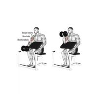 Emh 10 Seated Curl Bench